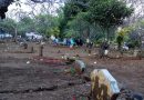 Tradisi Nyadran di Desa Randupitu
