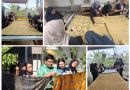 Batik Sekar Randu Kegiatan PKK Membatik Motif Baru bersama Mahasiswa KKN Universitas Negeri Malang